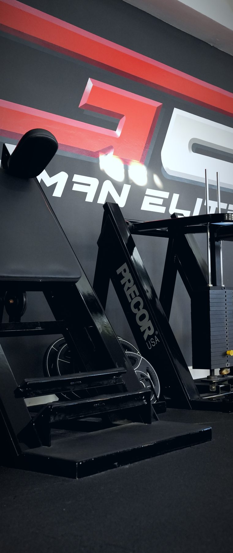 Precor Trainingsgerät im Invictus Gym Hamburg Bergedorf