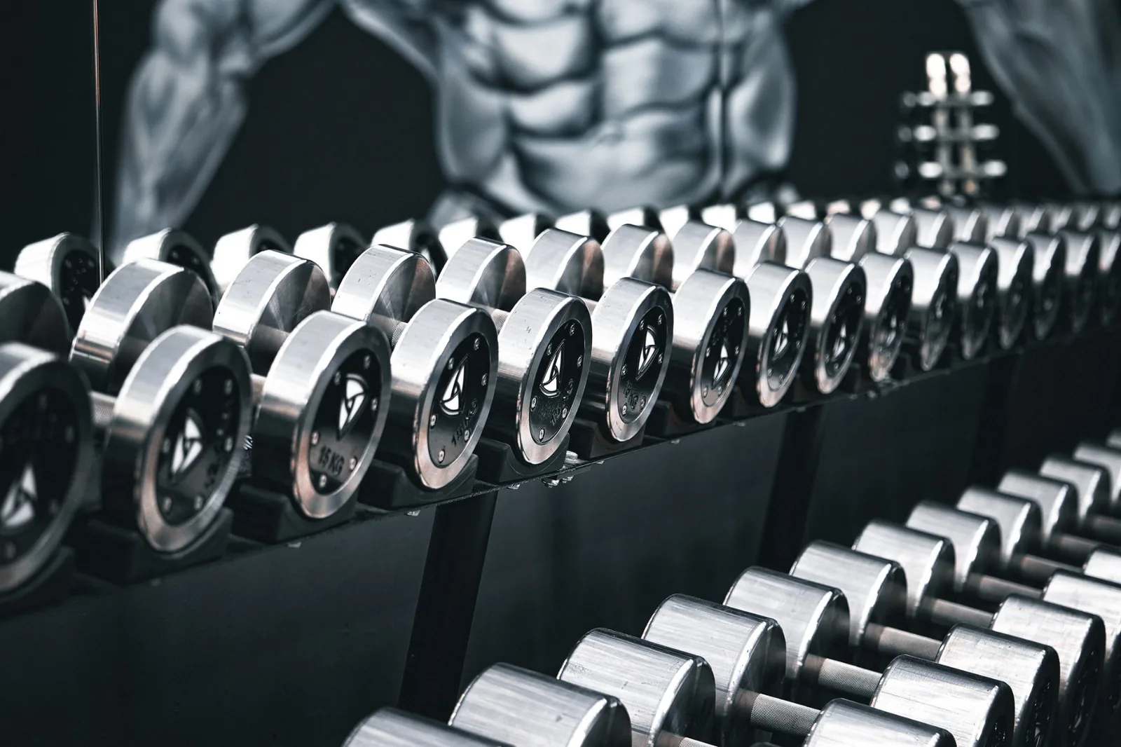 Freihantelbereich mit verchromten Kurzhanteln auf Ständern im Invictus Gym Hamburg Bergedorf