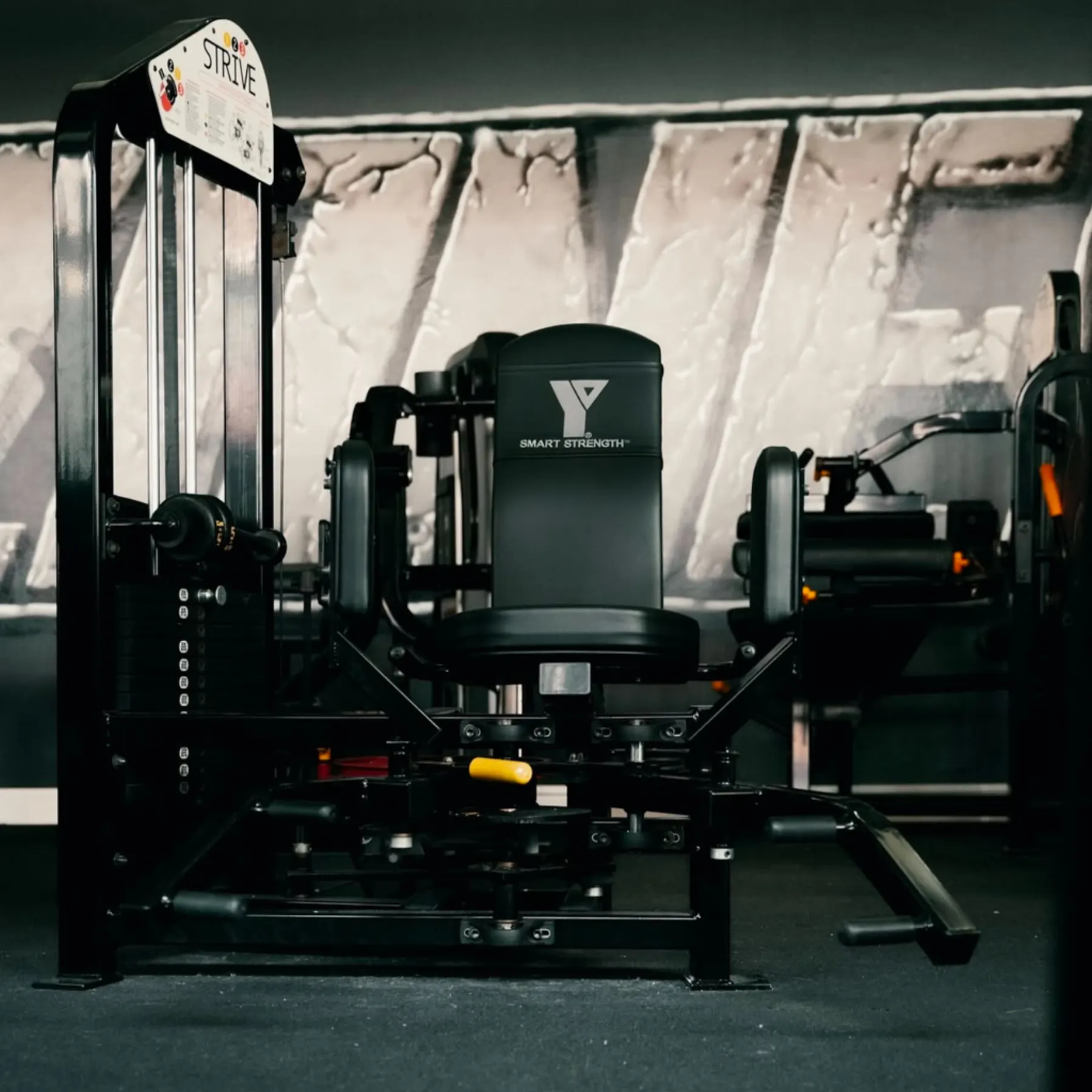 Kraftmaschine im Bodybuilding-Bereich des Invictus Gym