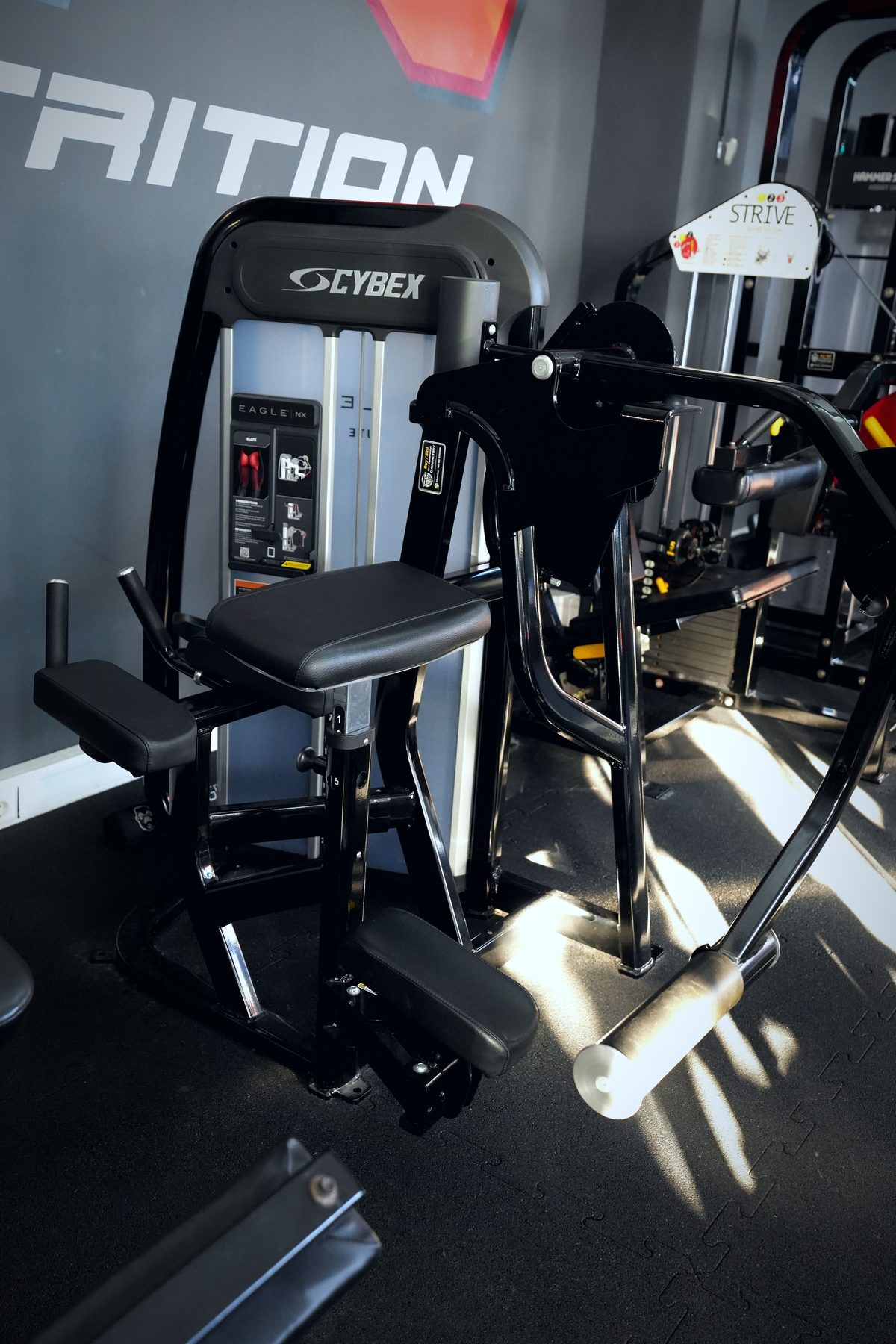 Cybex Eagle NX Glute Kickback im Invictus Gym Hamburg Bergedorf