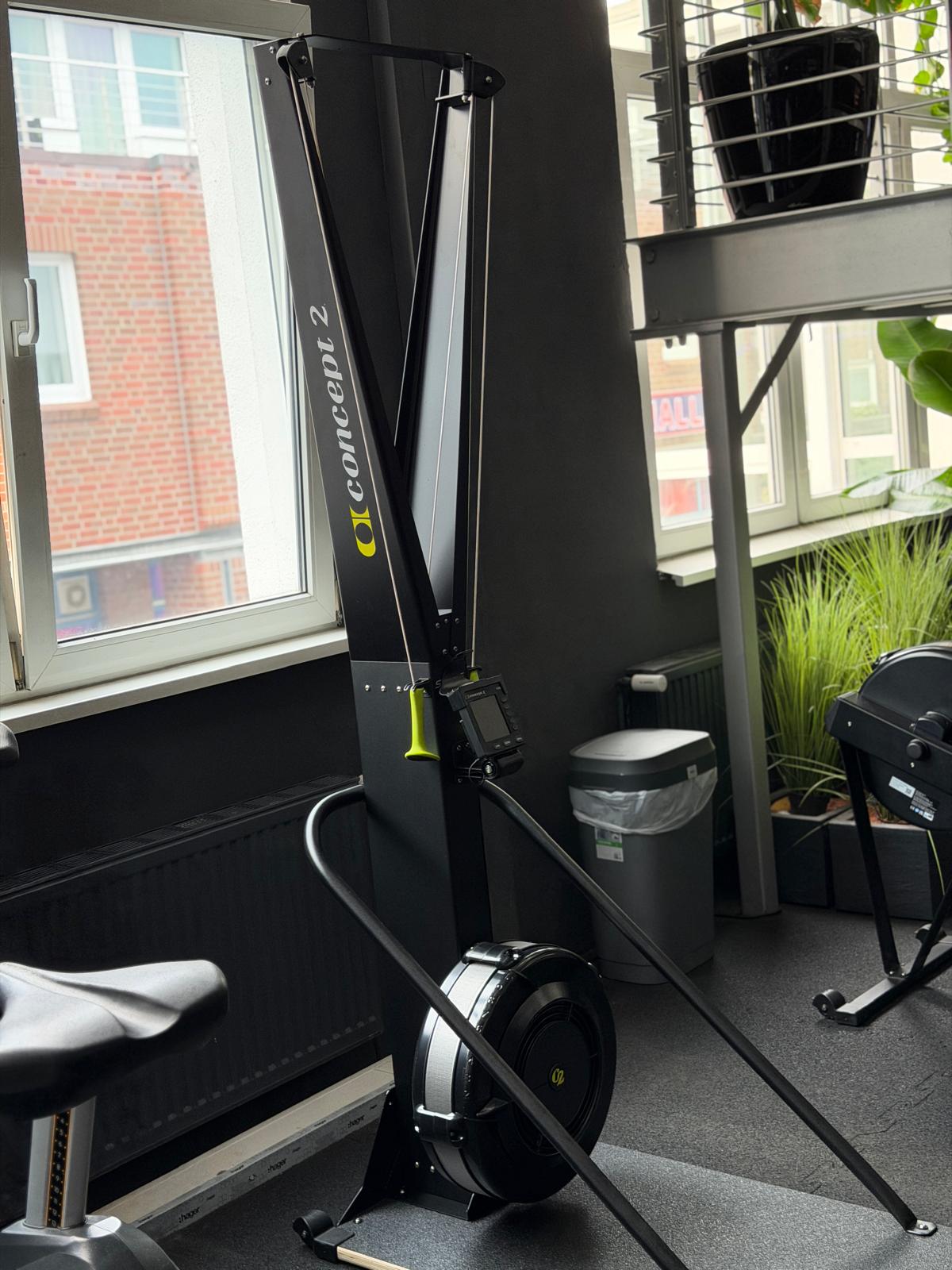 Concept2 SkiErg vor dem Fensterband im Functional-Fitness-Bereich des Invictus Gym Hamburg
