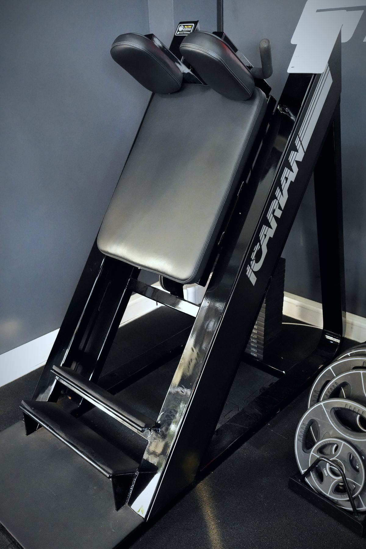 Icarian 45 Degree Calf im Invictus Gym Hamburg