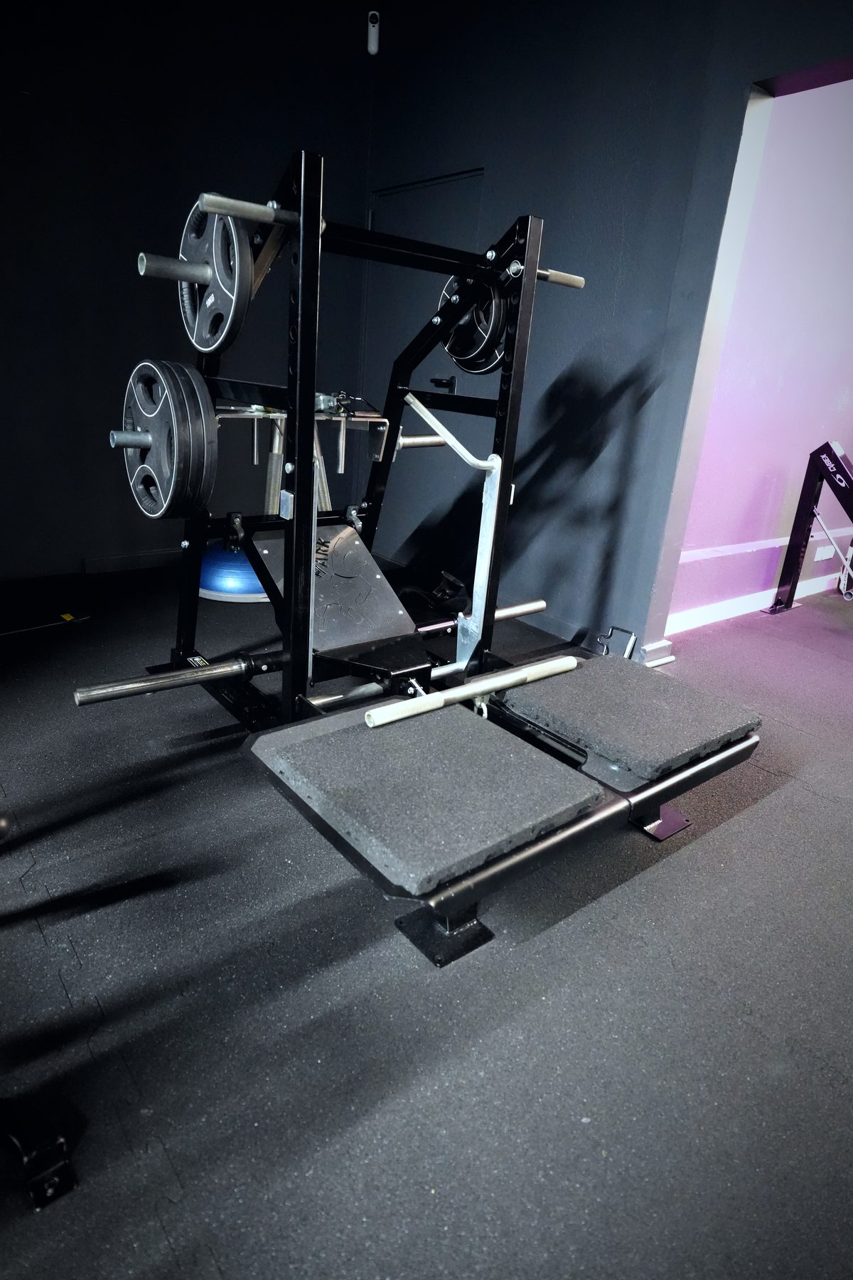 Pit Shark Belt Squat im Bootyraum des Invictus Gym Hamburg
