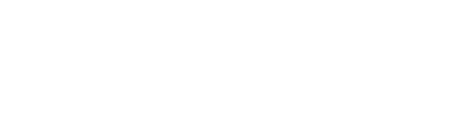 Prime Fitness Logo – Equipment im Invictus Gym Hamburg