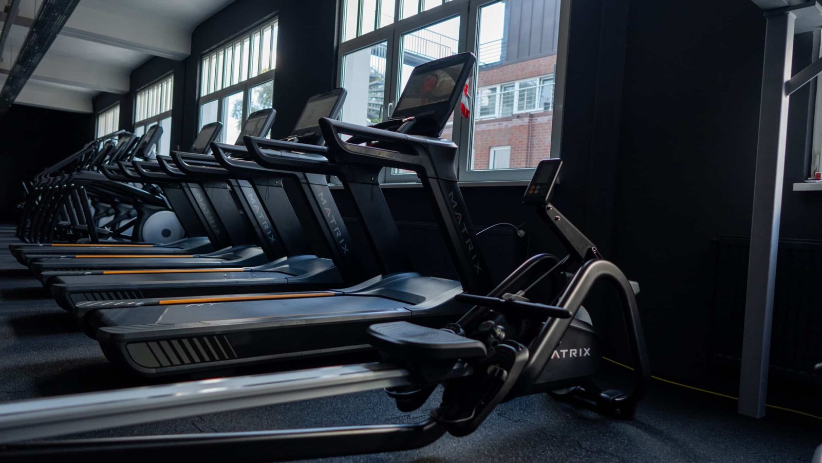 Reihe von Laufbändern und Cardiogeräten am Fensterband im Invictus Gym Hamburg Bergedorf