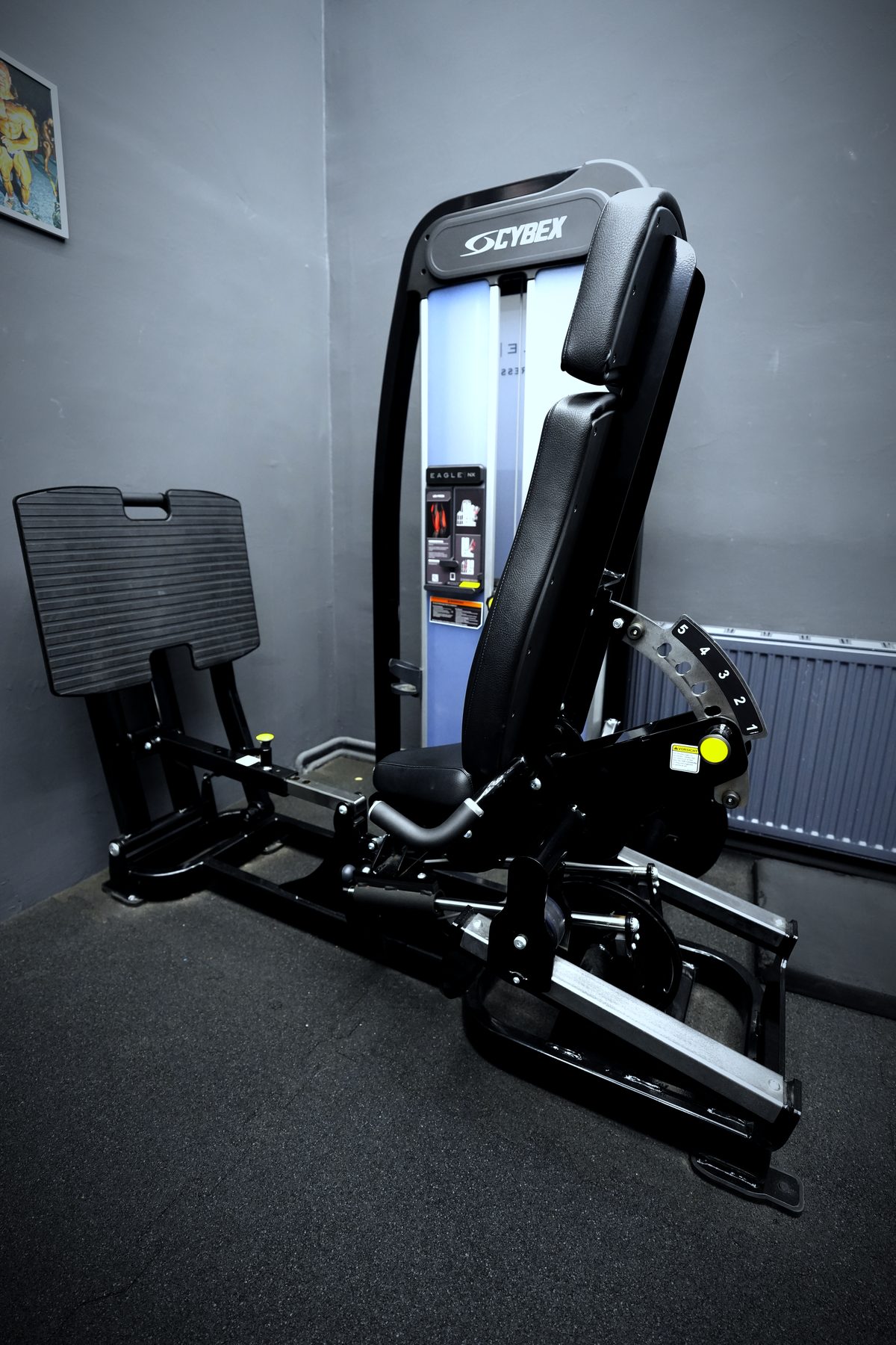 Cybex Beinpresse im Invictus Gym Hamburg Bergedorf